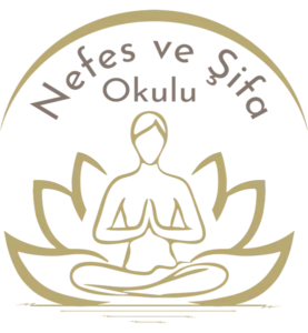 nefes_ve_sifa_okulu_renkli_logoWEBP